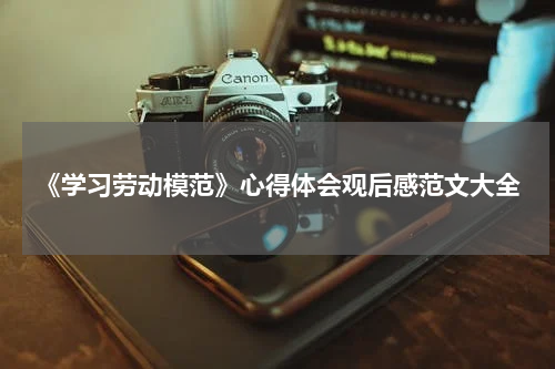 《学习劳动模范》心得体会观后感范文大全