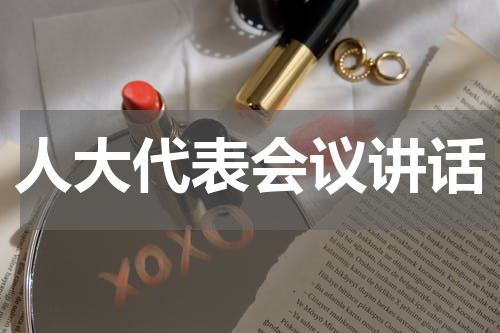 人大代表会议讲话