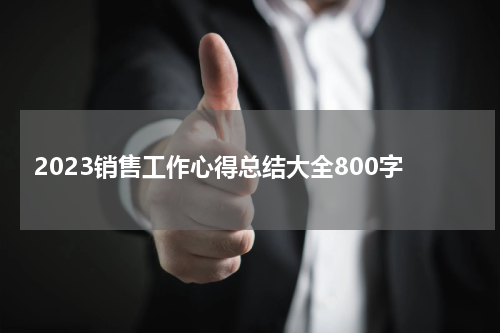 2023销售工作心得总结大全800字