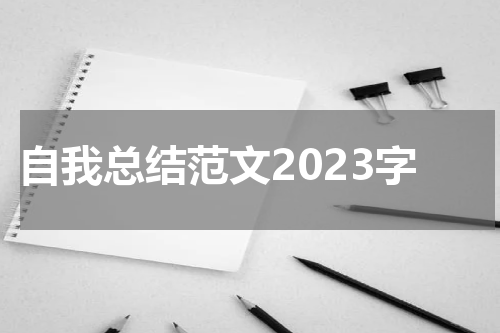 自我总结范文2023字