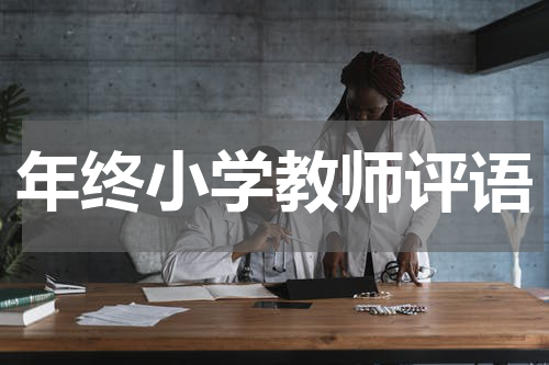 年终小学教师评语
