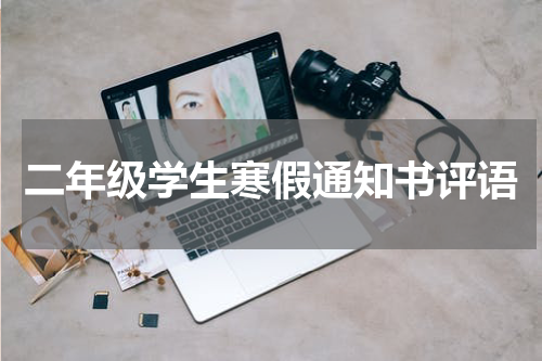 二年级学生寒假通知书评语