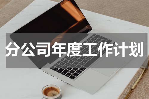 分公司年度工作计划